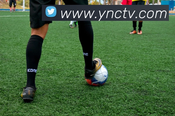 好博体育app登录入口平台生态图