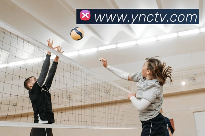 数据防护可视化